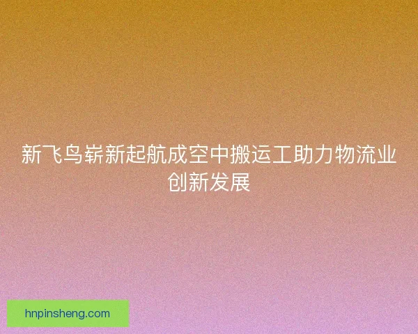 新飞鸟崭新起航成空中搬运工助力物流业创新发展